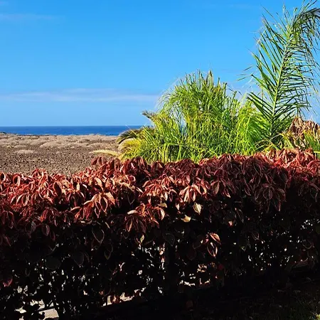 Apartment Casa Eleanora